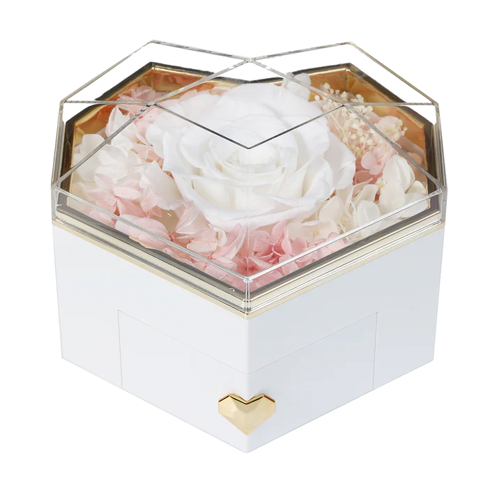 DRAWERS / COLLAR ENGRAVED