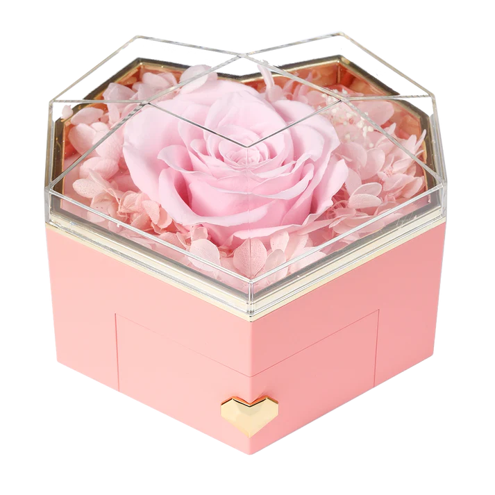 DRAWERS / COLLAR ENGRAVED