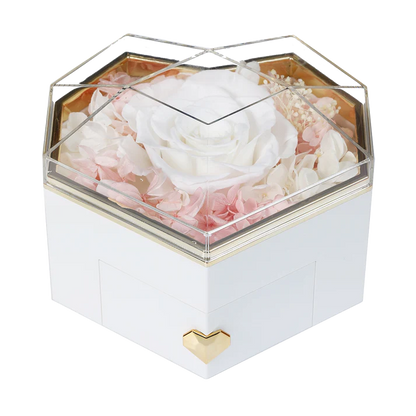 DRAWERS / COLLAR ENGRAVED