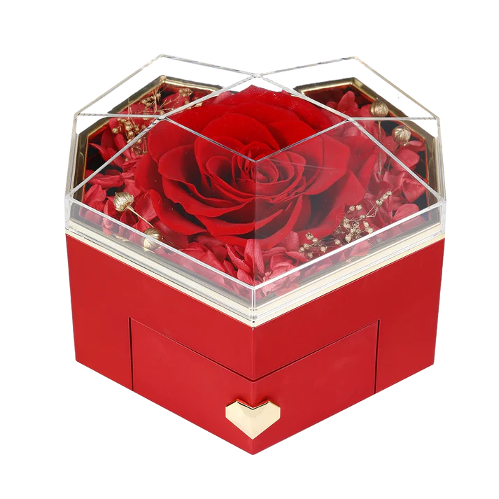 DRAWERS / COLLAR ENGRAVED