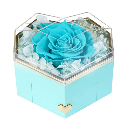 DRAWERS / COLLAR ENGRAVED