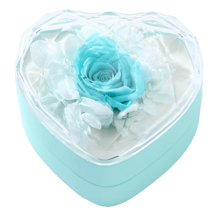ETERNAL ROSE / RING BOX