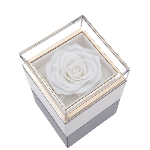 NECKLACE / ROSE BOX