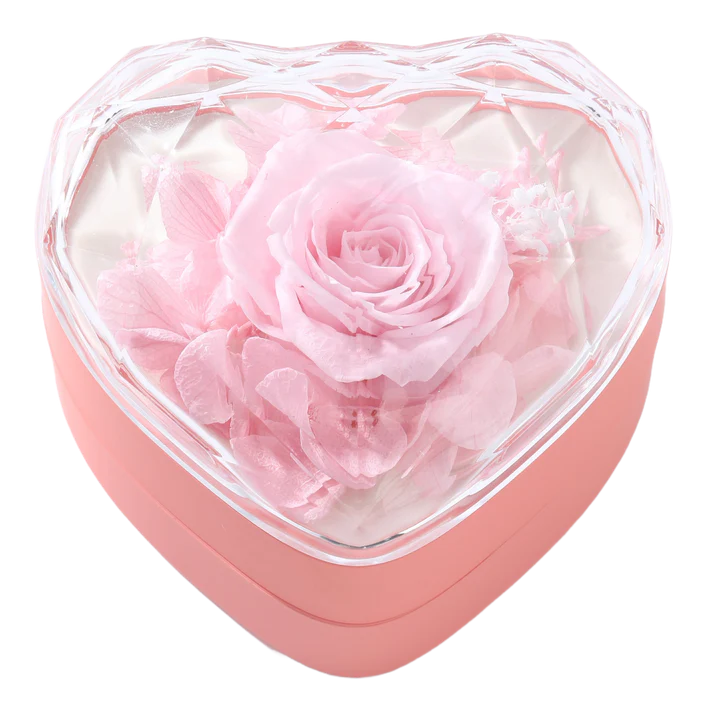 ETERNAL ROSE / RING BOX